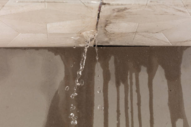 Professional Structural Drying technician working in Brightwood, OR